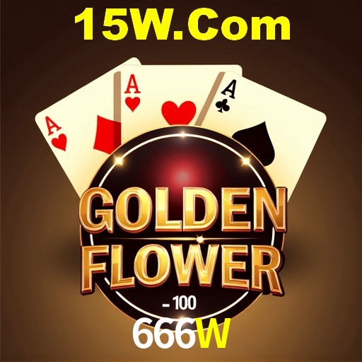 Interface Premium 666W