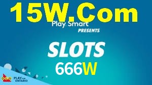 Premium Interface 666W