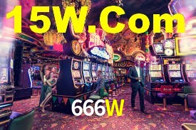 Explore as vantagens do 666W: serviço profissional e confiabilidade